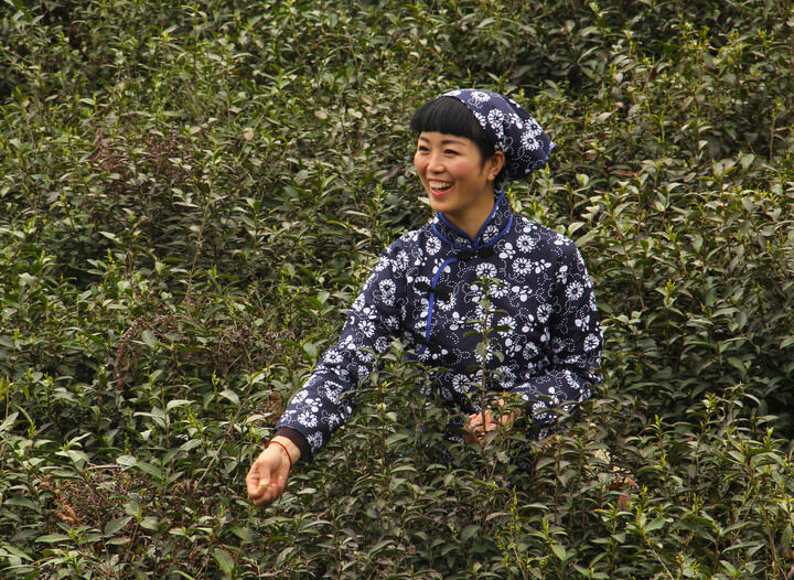 资讯2
